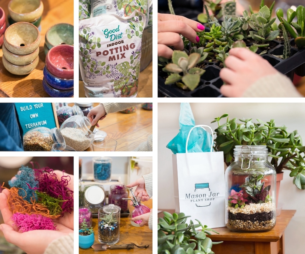 Mason Jar Plant Shop Kalamazoo Houseplants, gifts, and more!