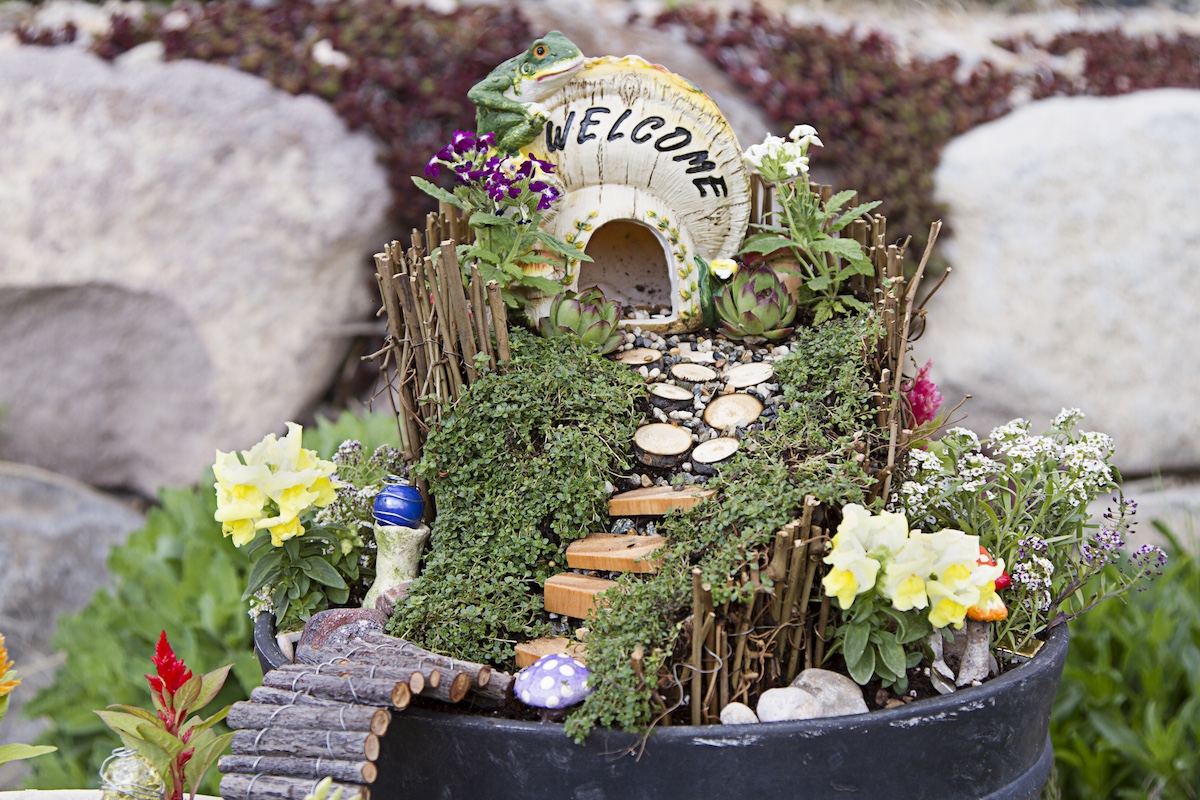 Fairy Garden workshop in Kalamazoo.